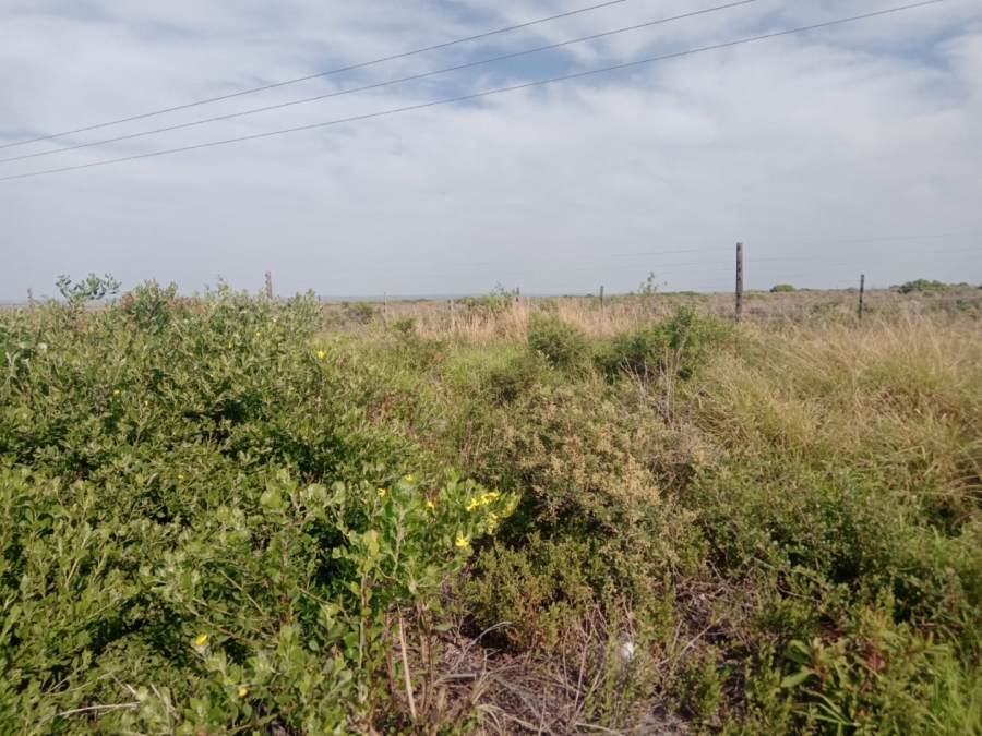 Commercial Property for Sale in C Place Eastern Cape